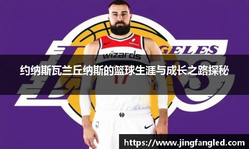 JN体育